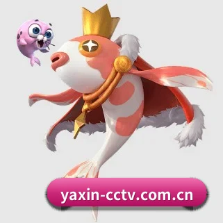 无障碍观赛体验